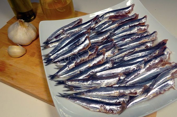 Pesce Azzurro