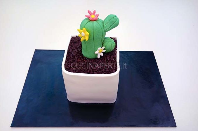 piantina di cactus al cioccolato
