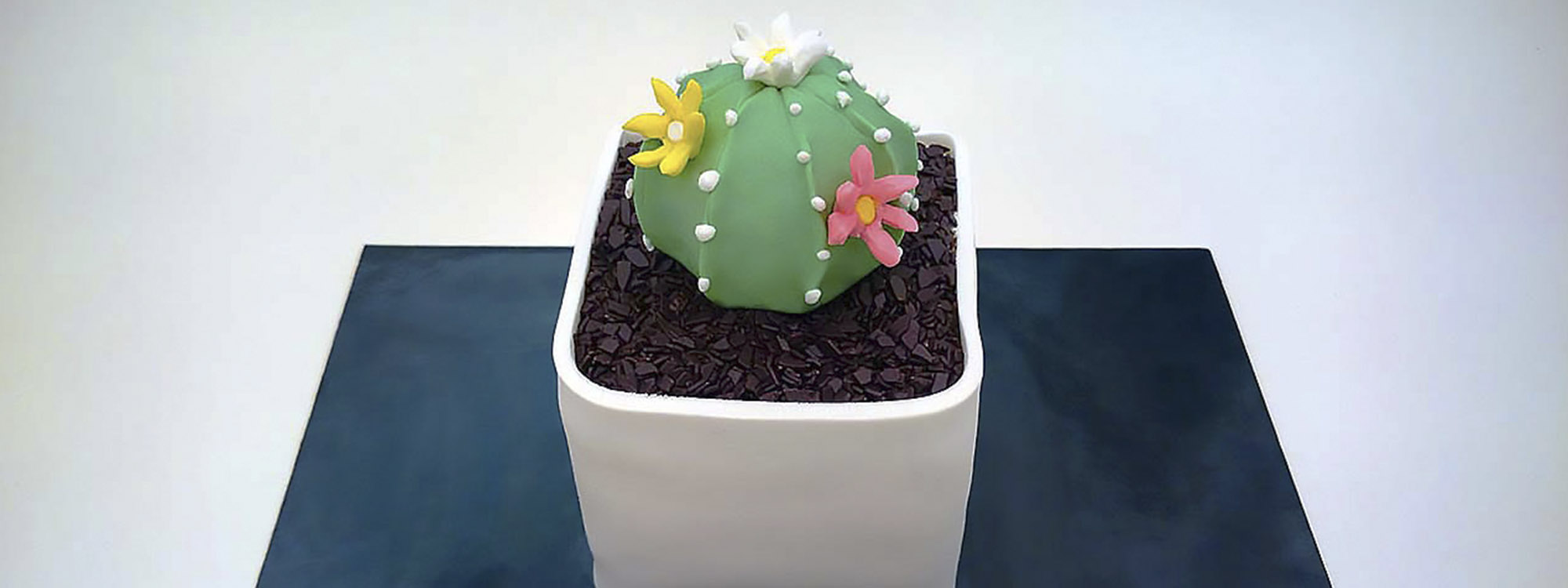 Cactus Cake – Torta al Cioccolato