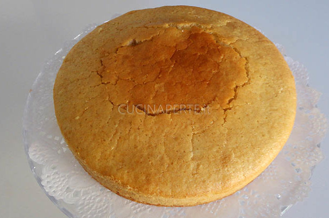 Torta cotta