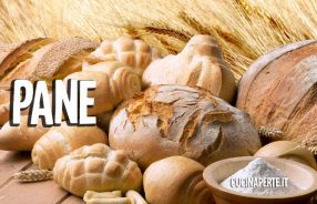 come si conserva il pane fresco?