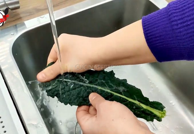 Dino Kale